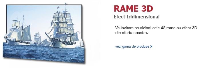 Poster 3D inramat