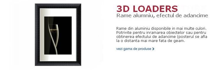3D Loaders